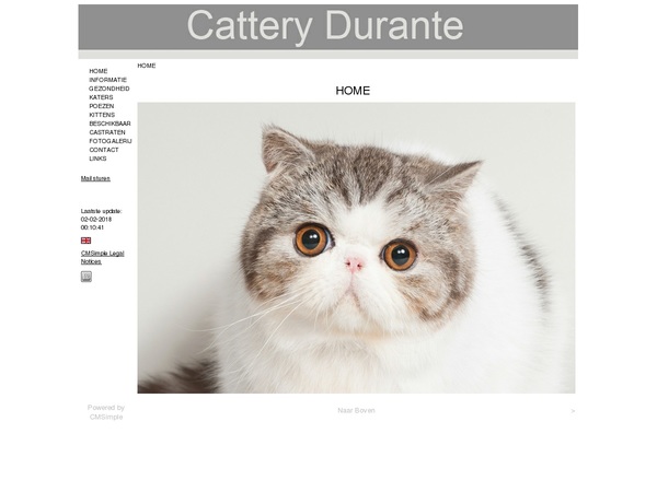 Screenshot Homepages