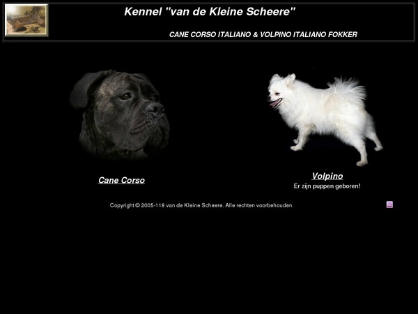 Screenshot Dieren