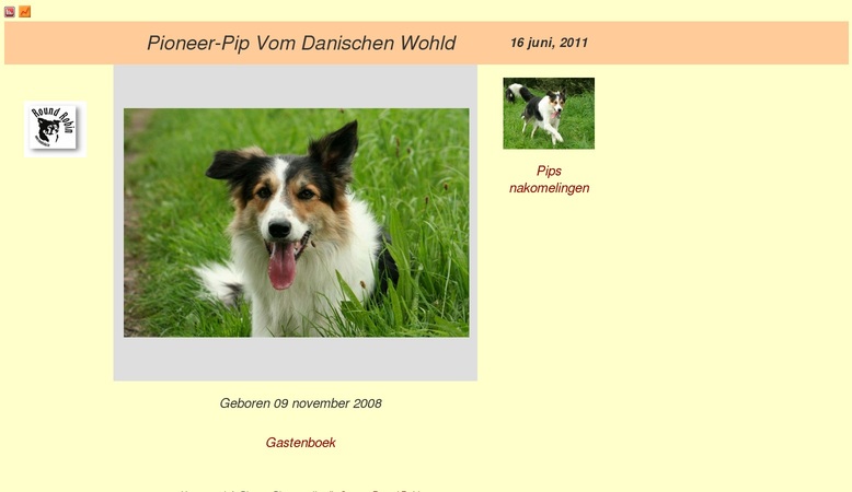 Screenshot Homepages